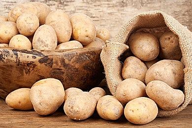 《蓝色协议》欧美服没乳摇了 美女们穿得更严实！